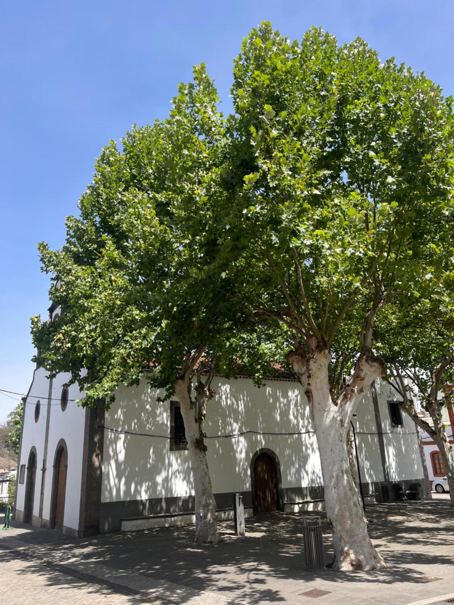 Apartamento Duplex En Fontanales Agua de Fontanales Exterior foto
